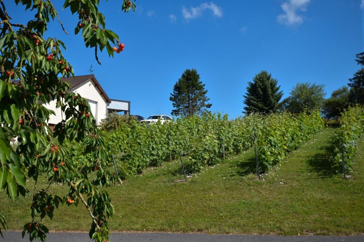 Le Clos Du Moulin Vaudemange Exterior photo